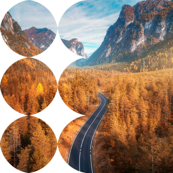 Ghosts of markets past: Are previous cycles affecting current decision-making?