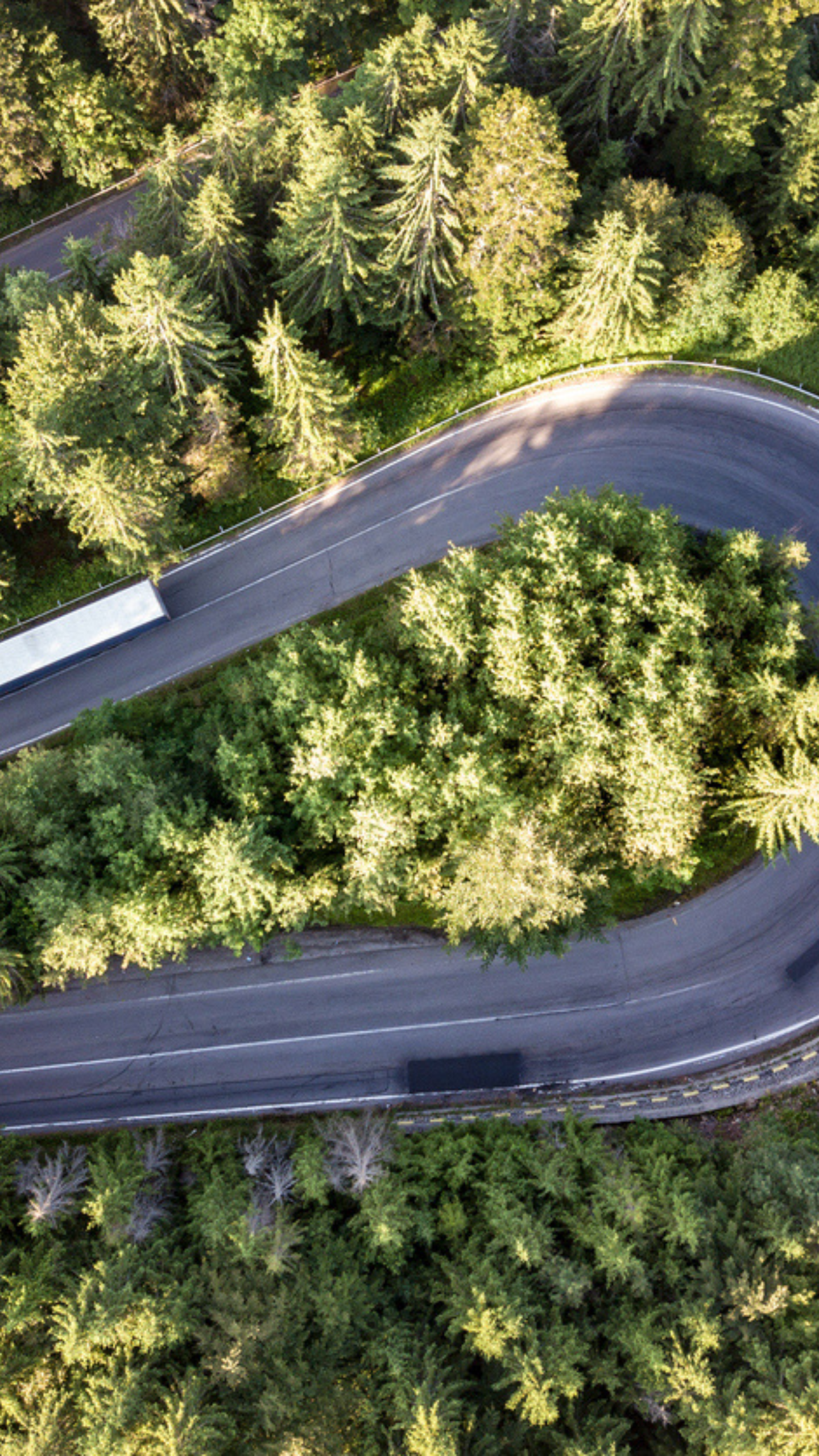 How finance leaders can build smarter FX risk strategies